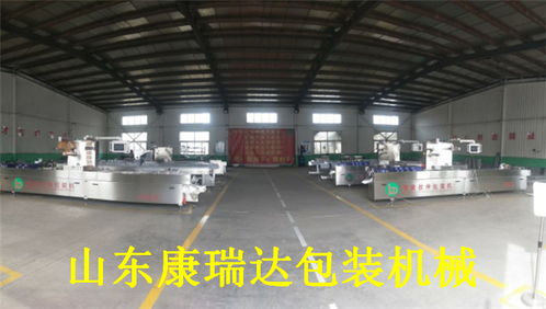 山東康瑞達(dá)香脆腸全自動包裝機價格解析